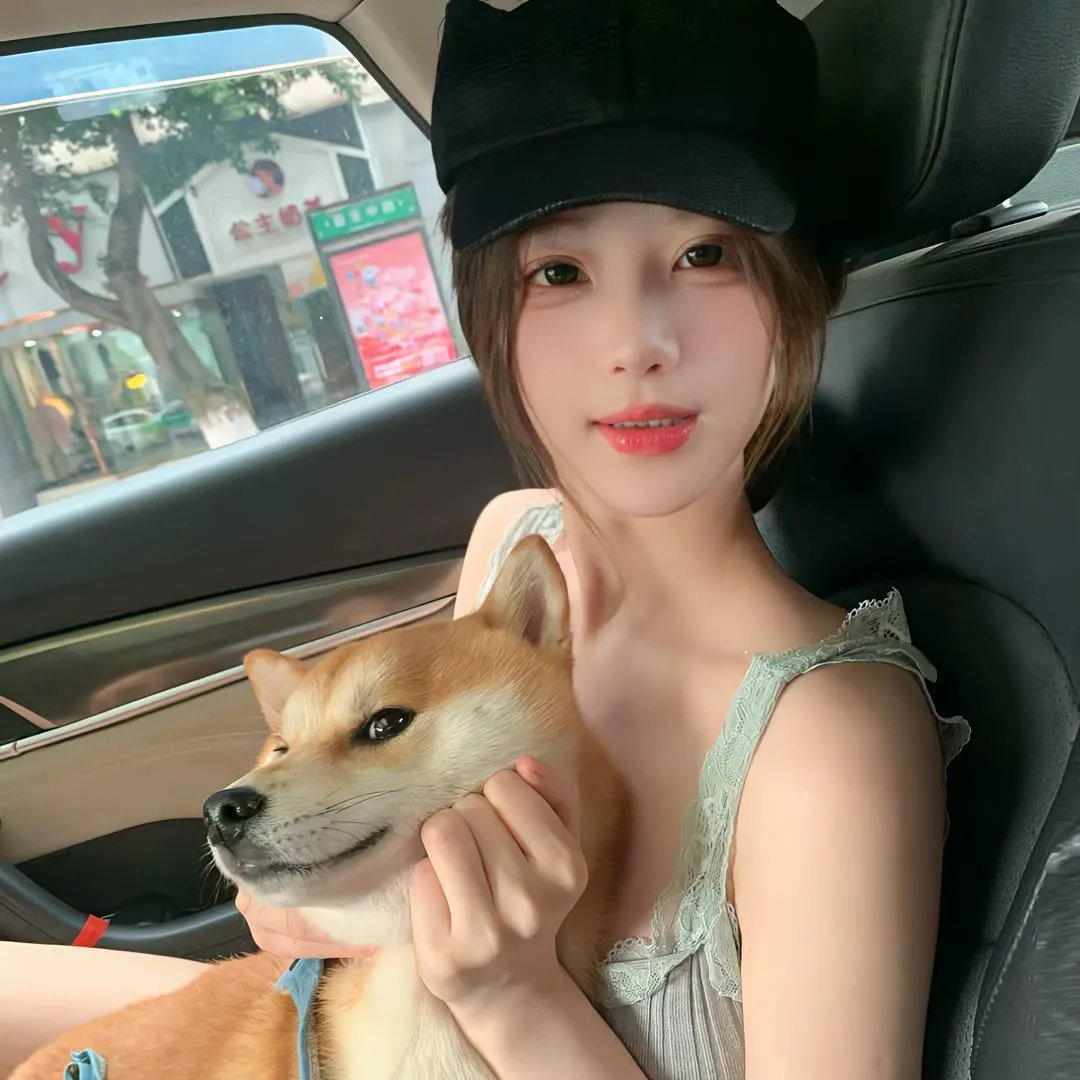 我跟踪猫